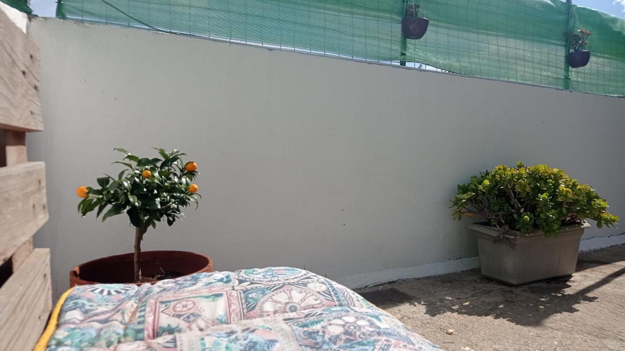 Casa Dalila Lägenhet Belvedere  Exteriör bild